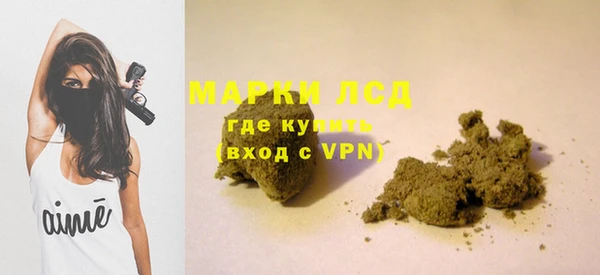 ГАЛЛЮЦИНОГЕННЫЕ ГРИБЫ Арсеньев