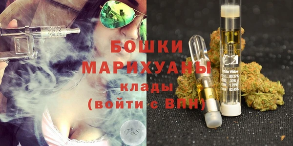 ГАЛЛЮЦИНОГЕННЫЕ ГРИБЫ Арсеньев