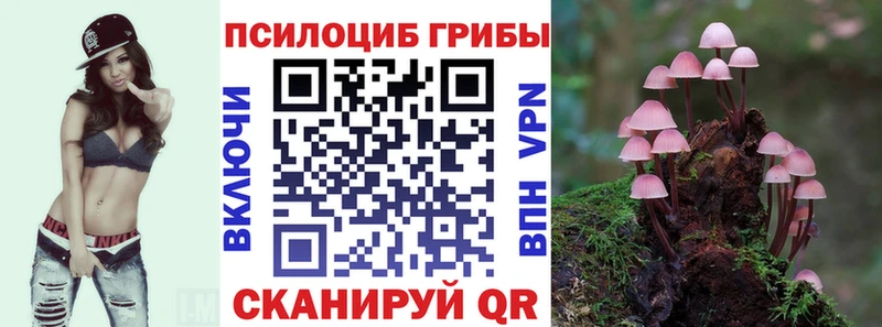 Псилоцибиновые грибы прущие грибы  Купить  Светлый 