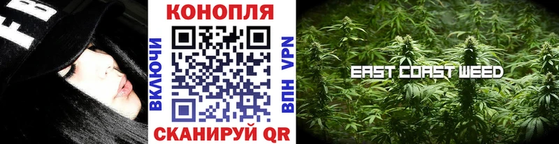 Купить где  Светлый  Бошки марихуана VHQ 